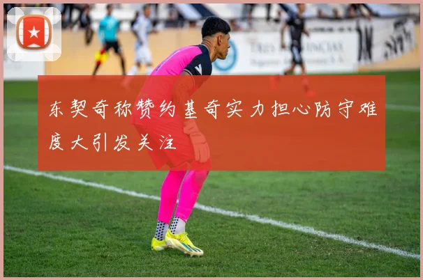 东契奇称赞约基奇实力担心防守难度大引发关注